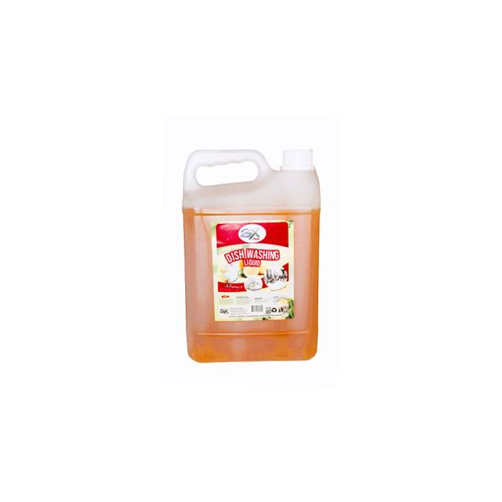 Gx Dishwashing liquid 5L